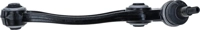 Track Control Arm Rear LEMFORDER
